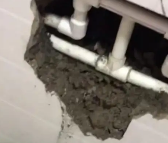 北林漏水检测电话