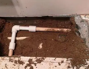 北林测漏水哪家好