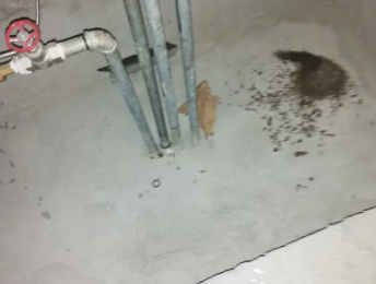 北林卫生间测漏水价格明细