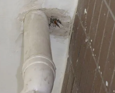 北林漏水检测哪家好